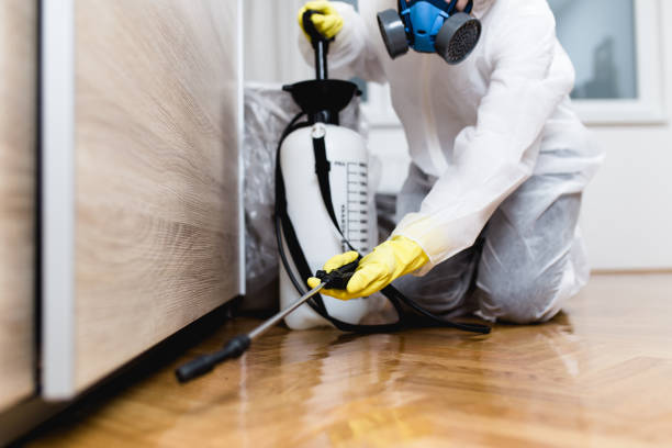Professional Pest Control in Hamburg, NJ