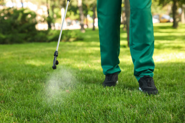 Best Pest Control Near Me  in Hamburg, NJ