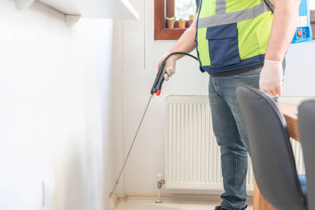 Best Termite Control Services  in Hamburg, NJ