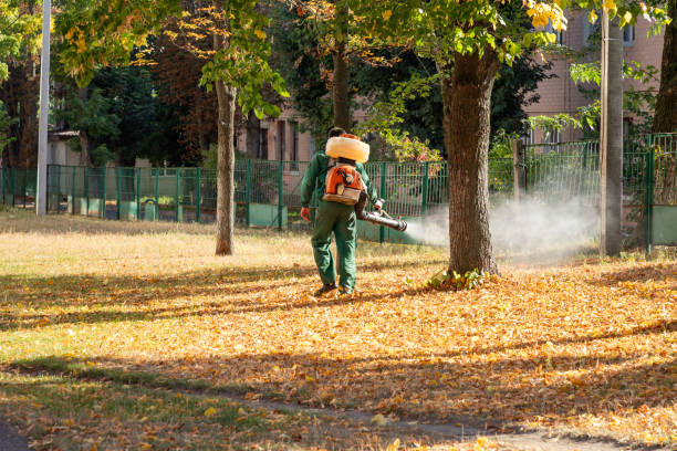 Bird Control in Hamburg, NJ