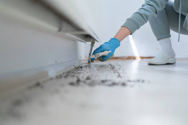 Best Mosquito Control Services  in Hamburg, NJ