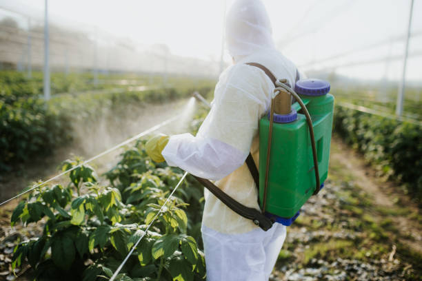 Best Best Pest Control Companies  in Hamburg, NJ